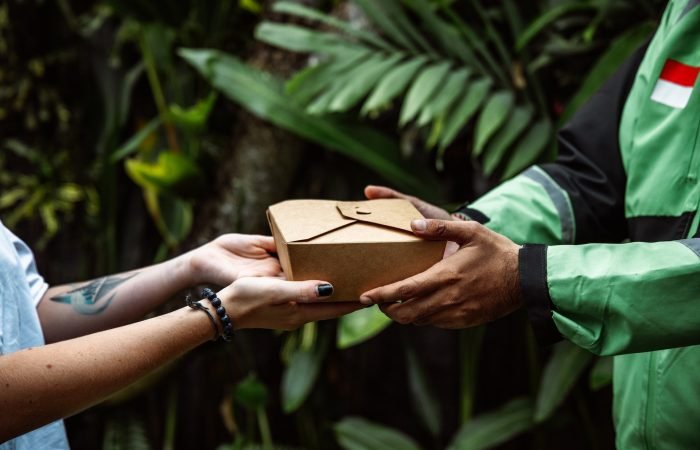 pexels-roman-odintsov-12725399